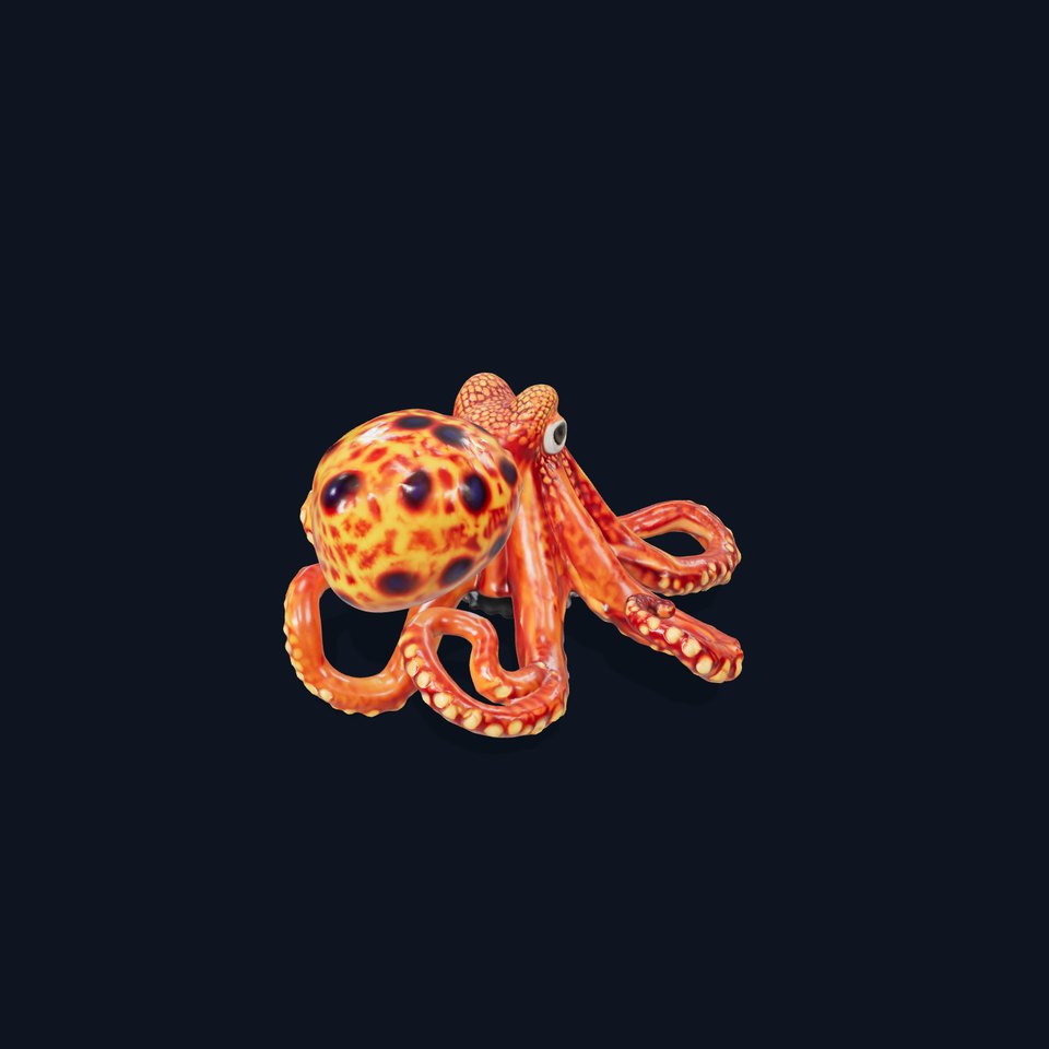 Vibrant Octopus model pack